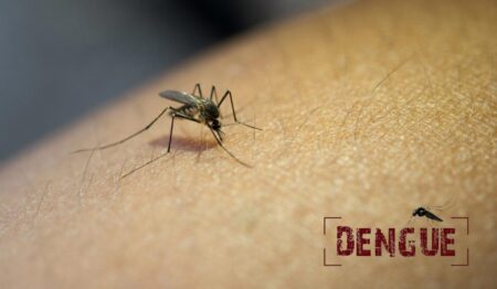 Dengue Fever Jeopardy